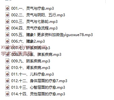 250994 zoehealer灵气疗愈与实修精讲14集音频课插图 250994 zoehealer灵气疗愈与实修精讲14集音频课插图