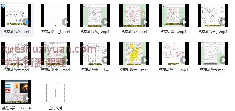 2509129 神霄云麓紫微斗数一期+二期实战视频合集Y插图2 2509129 神霄云麓紫微斗数一期+二期实战视频合集Y插图2