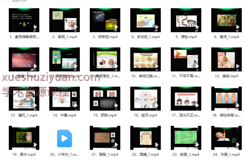 2509130 八卦象思维解读疾病 24集 视频课Y插图