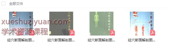 2505400-531 经穴断面解剖图解插图