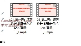 2506255 w道医绝针-能量针秘术-徐蒙沂200网课N 能量针插图