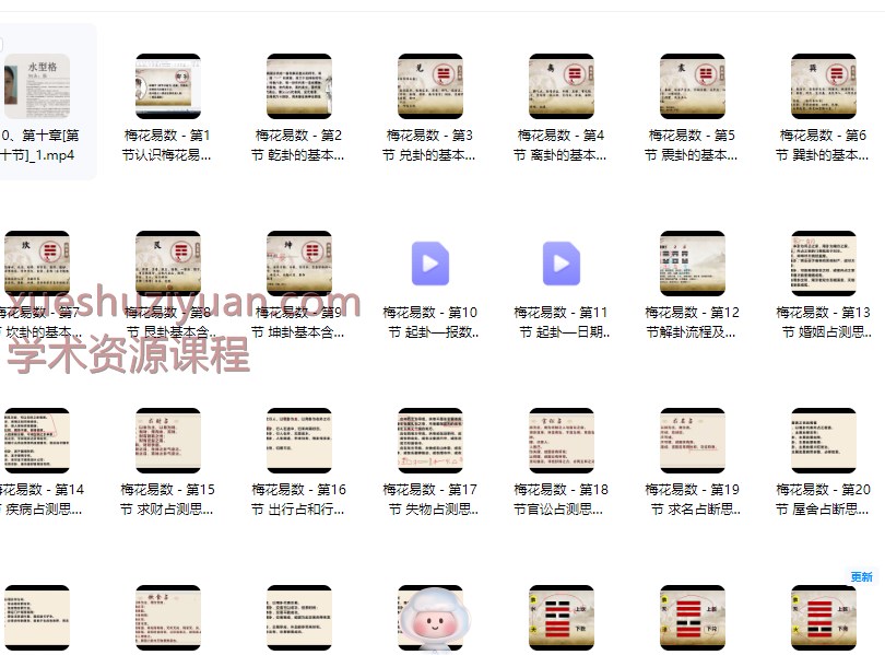 2509290 金霖老师《梅花易数》教学视频34集Y插图