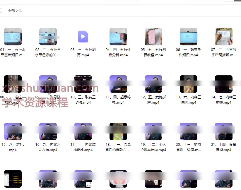 2509311 水晶工作室水晶IP主理人孵化训练营47集视频Y插图 2509311 水晶工作室水晶IP主理人孵化训练营47集视频Y插图