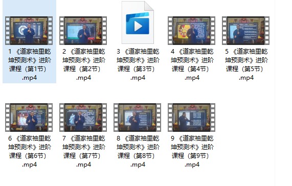 谷晟阳 道家袖里乾坤预测术 9集视频 进阶课程（3天3夜品精小班课）插图1