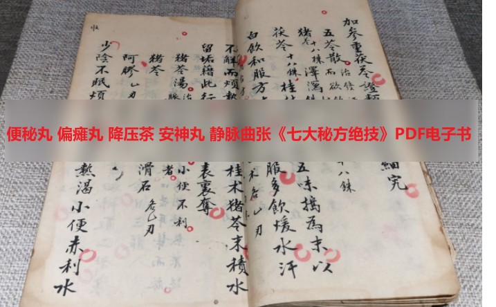 便秘丸 偏瘫丸 降压茶 安神丸 静脉曲张《七大秘方绝技》PDF电子书插图