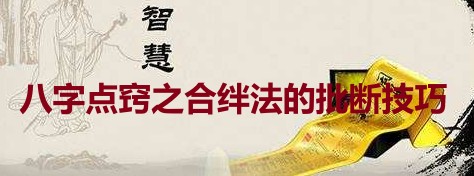 《八字点窍之合绊法的批断技巧》视频5集插图