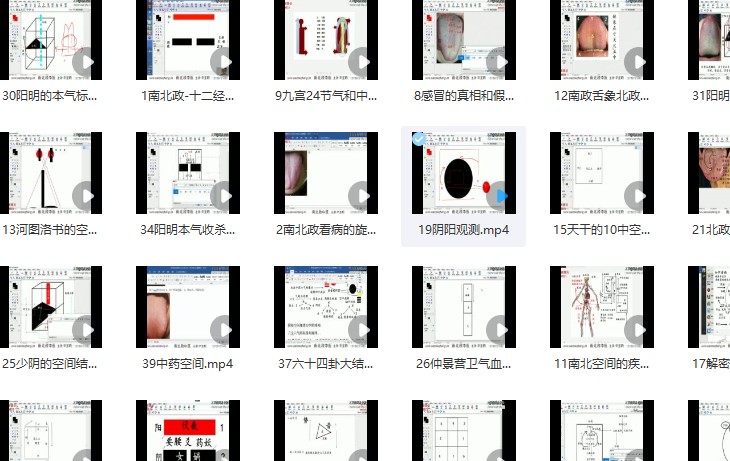 辛圣明 第20期南北政脉诊实战视频全集39课插图