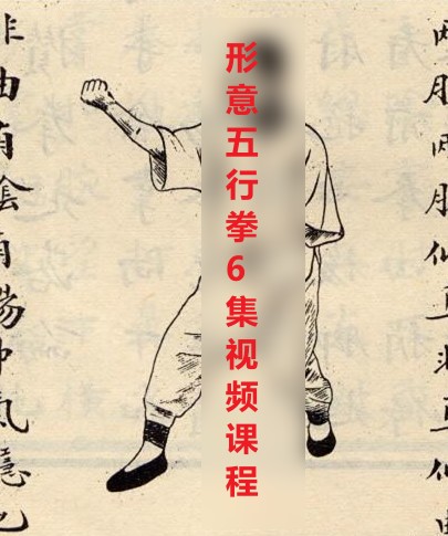 阎子龙-形意五行拳  6集视频课程插图