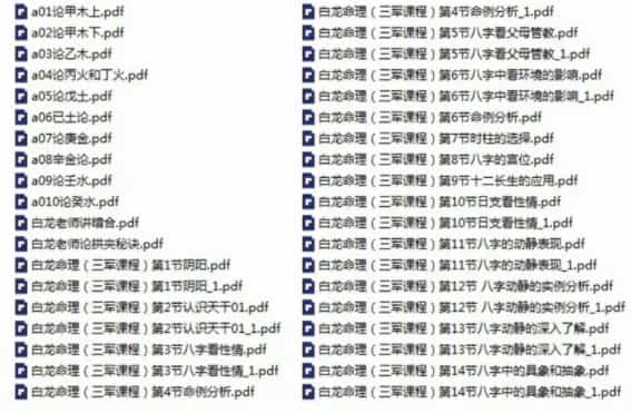 白龙老师八字命理基础课程+提高班课程合集插图