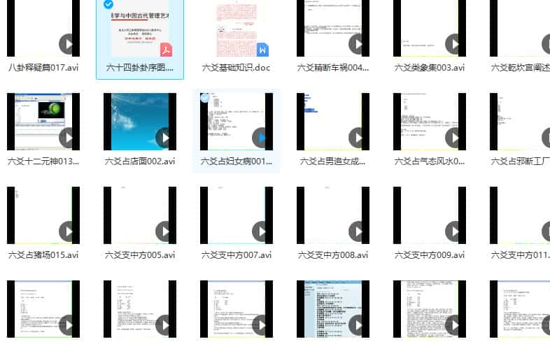 王法壬盲派六爻视频23集+2个资料pdf 百度盘下载插图