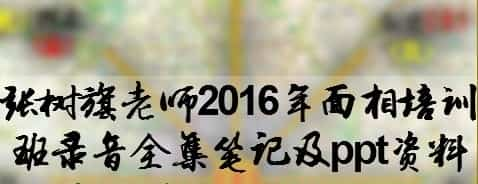 张树旗老师2016年面相培训班录音全集插图