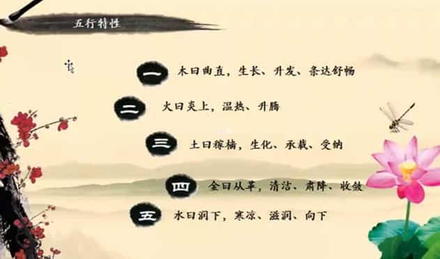 陶敏浩 全息六爻预测古法今用从零开始学习预测占卜视频5集合插图