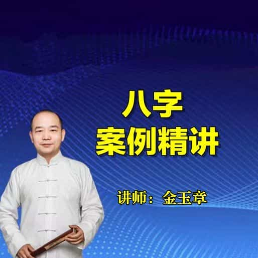 金玉章八字实务案例 和四柱八字精批音频教学28个插图