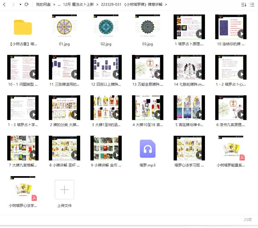 《小树塔罗牌》牌意讲解视频+文档+录音插图