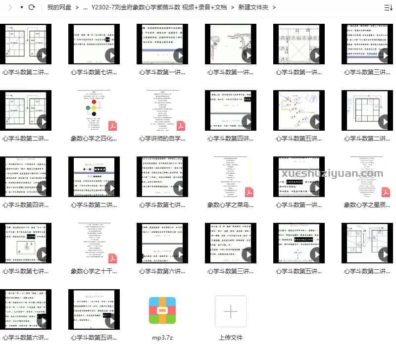 刘金府象数心学紫薇斗数 视频+录音+文档插图