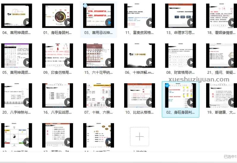 明心讲堂 陆老师 道家八字视频课程21集插图