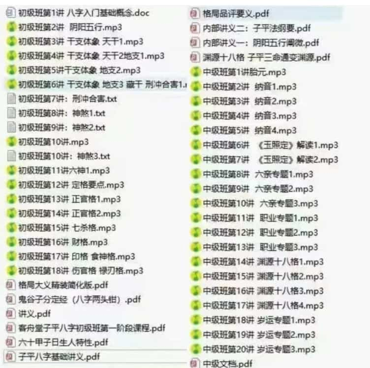 客舟堂子平命理初级录音文档+中级录音文档插图