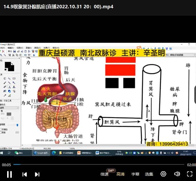 辛圣明 五运六气 南北政脉诊 伤寒论钳法（线上直播实战班）128集视频插图