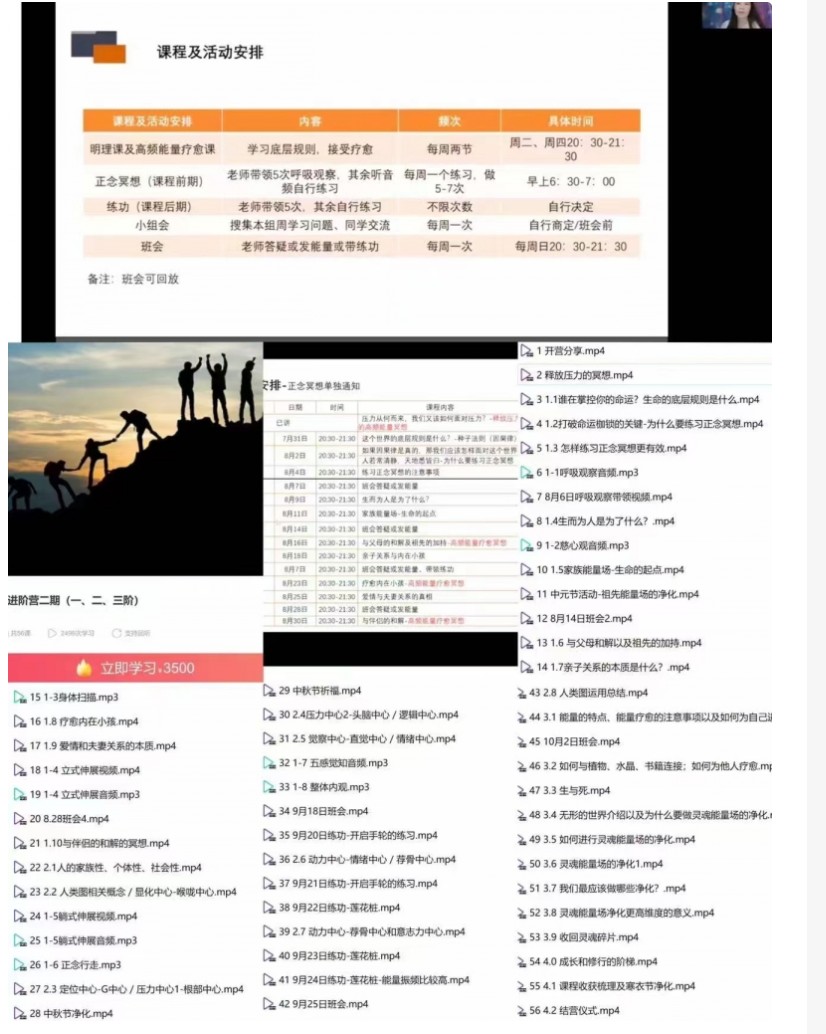 宋黛 生命能量进阶营二期（一、二、三阶）全56讲 原3500的【生命能疗量法】插图