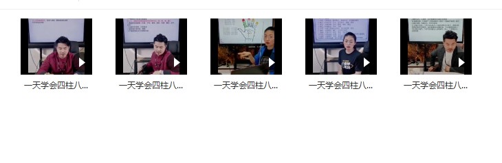 夏光明一天学会四柱八字5集视频插图