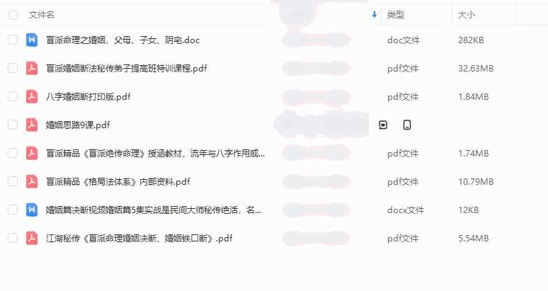 盲派以及其他八字 盲派资料文档资料 8份插图