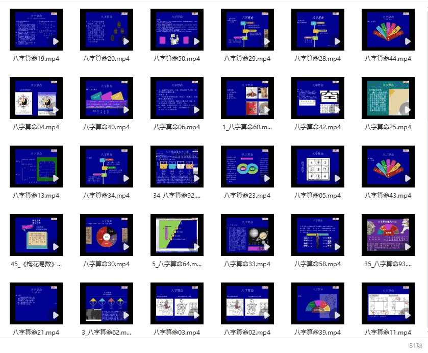 陈有道八字命理视频教程81集（不全）插图