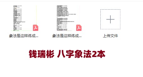 钱瑞彬 八字象法2本插图