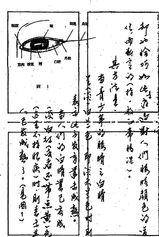 陈鼎龙-中国手面相婚姻专题讲义.pdf79插图