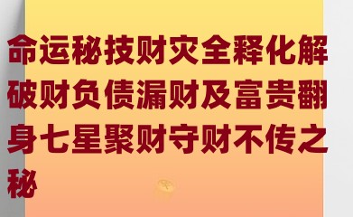 德盛老师《命运秘技财灾全释化解破财负债漏财及富贵翻身七星聚财守财不传之秘》插图