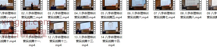 么学声八字高级八字命理特训营实战视频14集插图