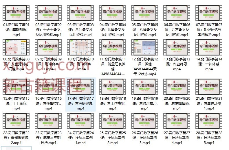 吴九龙奇门数字大师班28集视频插图