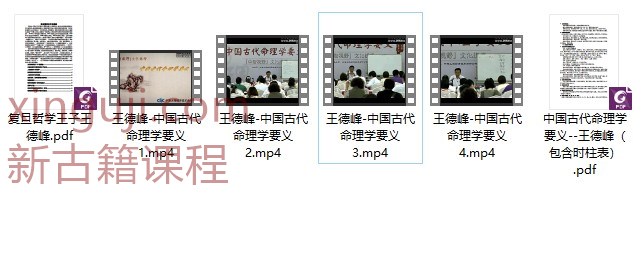 命理学要义 王德峰-中国古代命理学要义 视频+文档插图