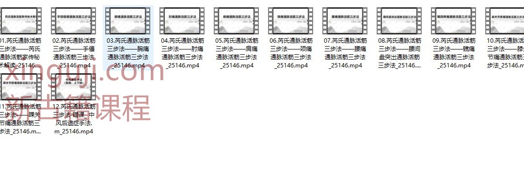 芮氏通脉活筋三步法12集 G插图