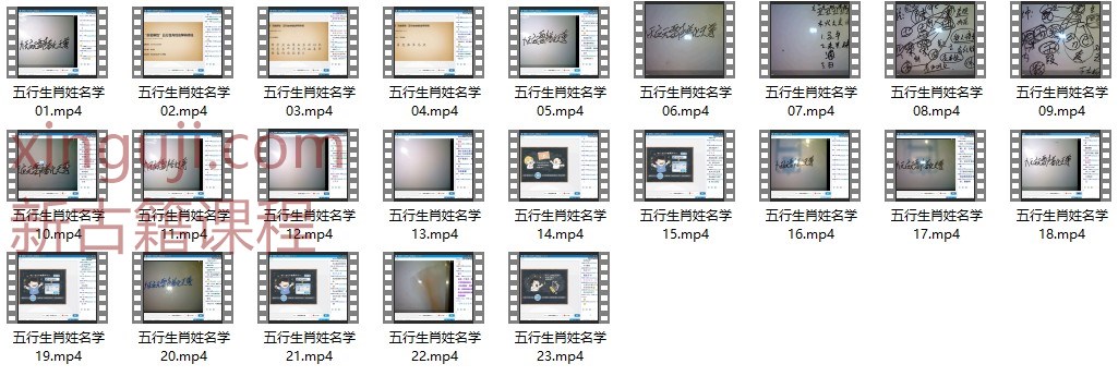 肖渤森五行生肖姓名学高级班视频全23集40个小时插图