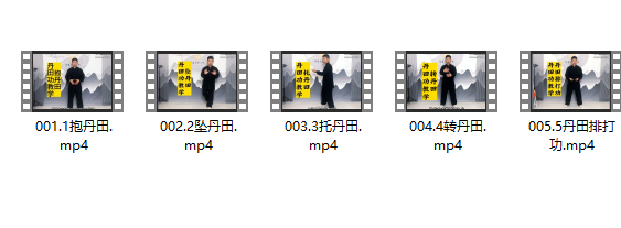 内家拳丹田功教学5集视频课程插图