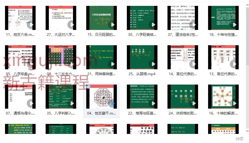 安易芳《四柱八字》–37集插图