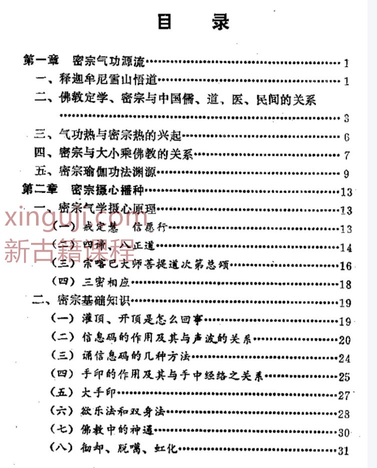 密宗法宝（齐凤军）插图