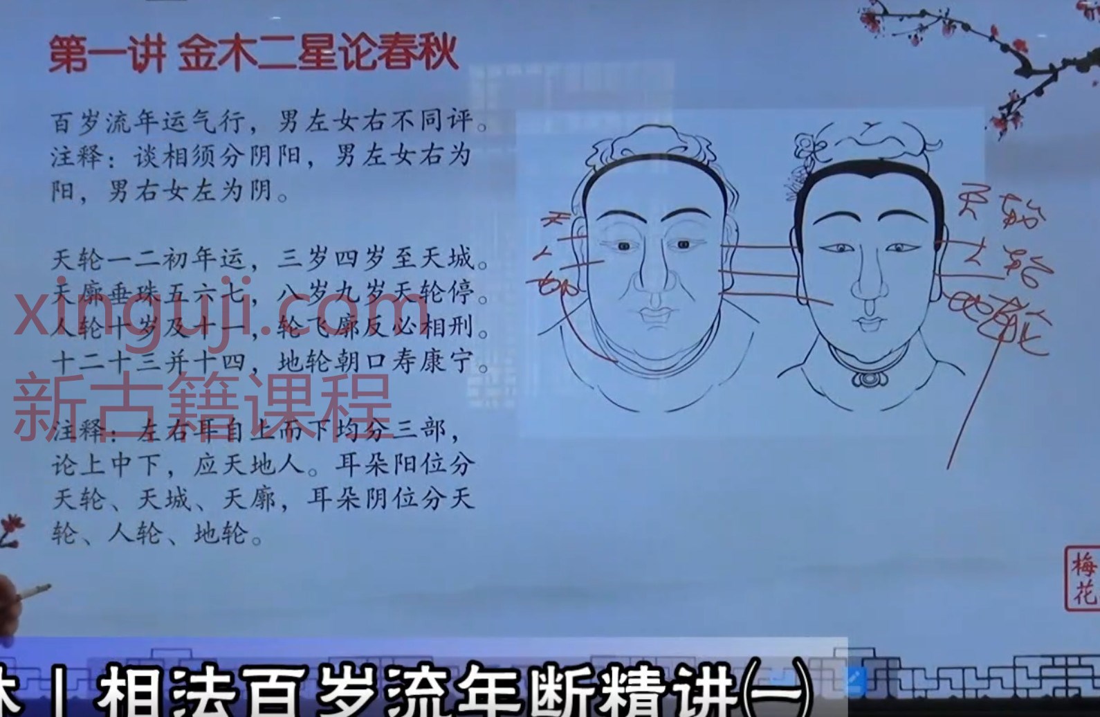 相法百岁流年断精讲4集视频  陈春林插图