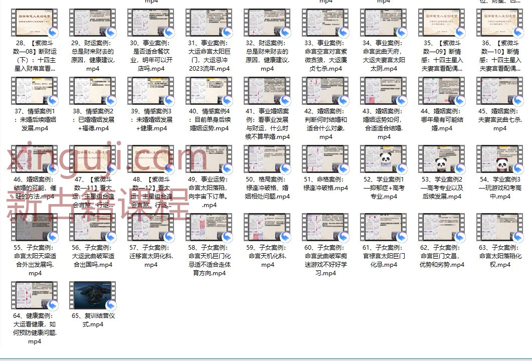 罗镇《紫微斗数训练营》65集插图