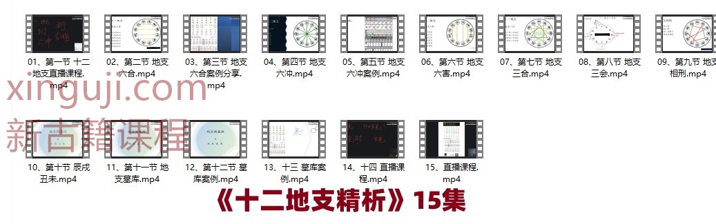 《十二地支精析》15集 清风新派八字插图