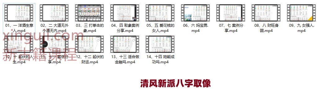 清风新派八字《八字取象法》14集插图