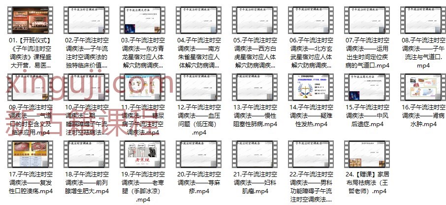 王哲-子午流注时空调疾术-23集理疗必学插图