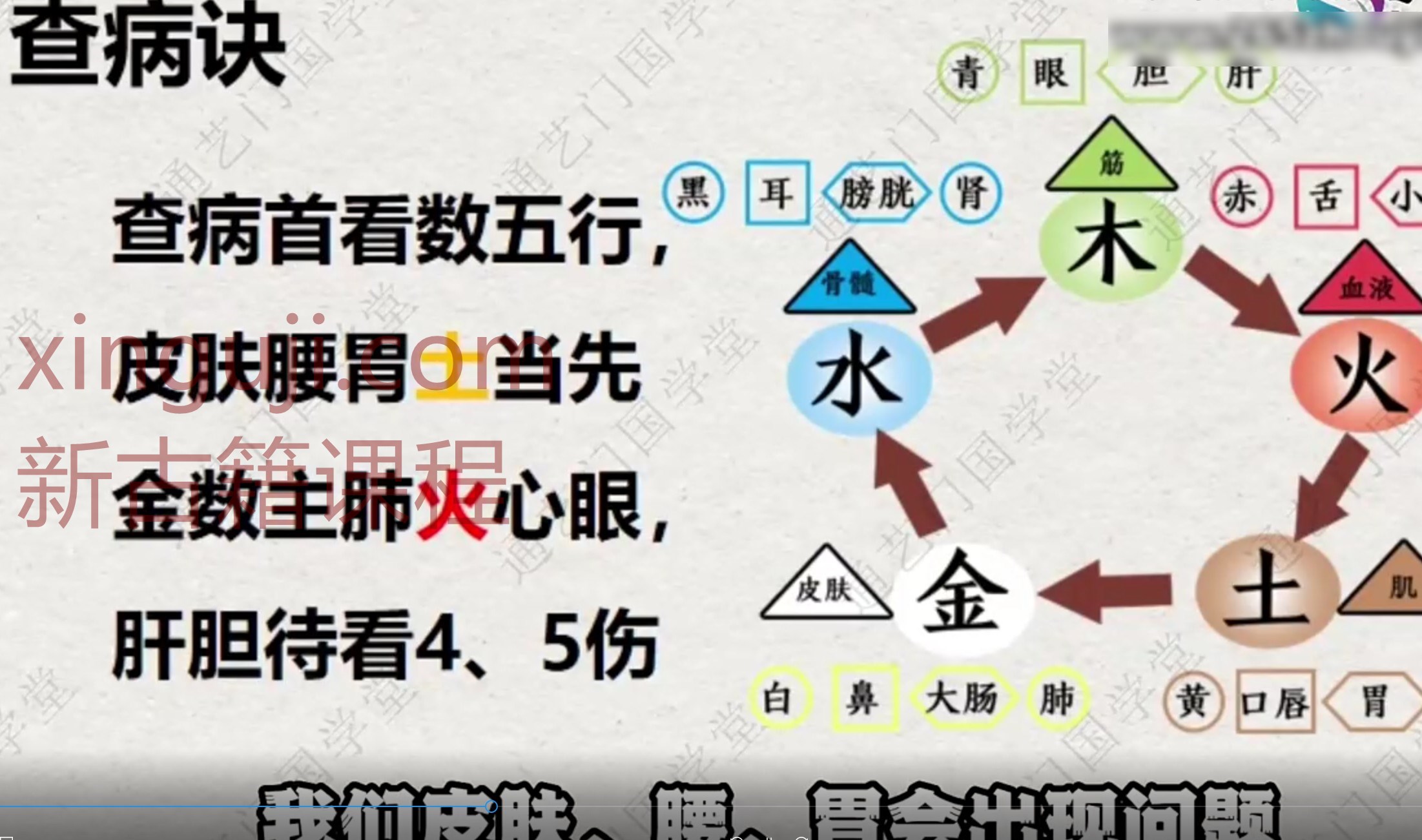 通艺门国学明戒老师-生命规律学9集插图