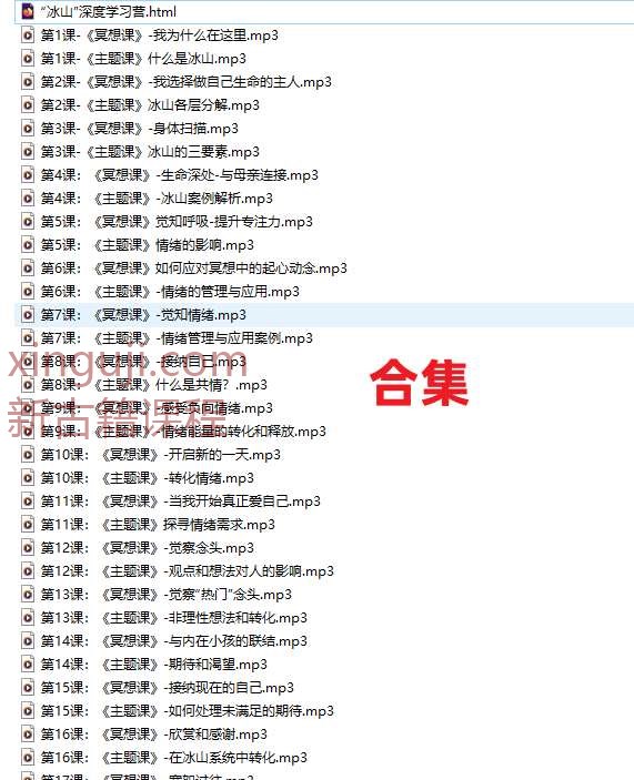 “冰山”深度学习营 冥想课40录音课程插图