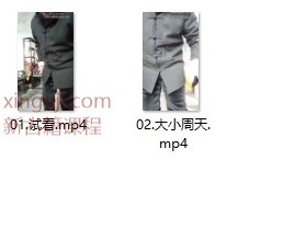 古传大小周天2视频文件插图