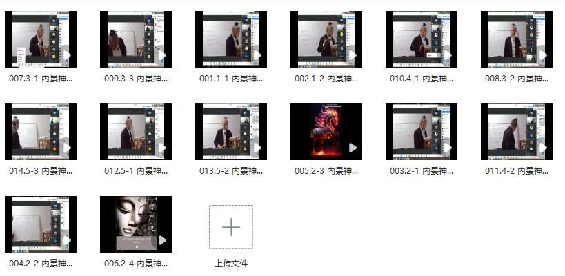 张林峰《上古大道之内景修炼神修丹法薪传》视频直播课14集插图