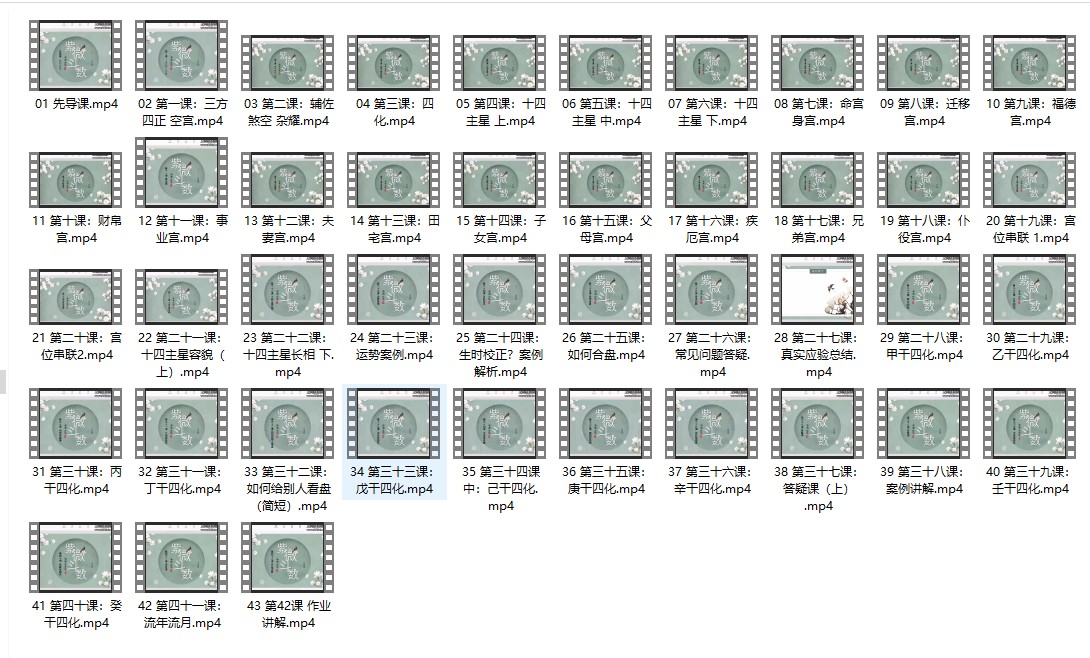 中州派紫微课程43集视频课程插图
