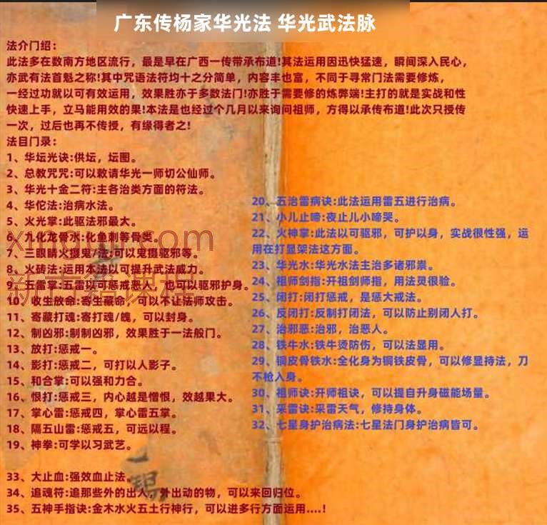 广东传杨家华光法 华光‬武法脉 法本插图