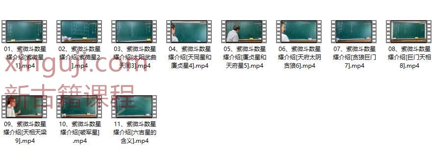《圣威门紫微斗数星曜》11集视频课程插图
