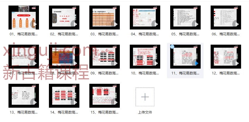 刘全统《梅花易数高阶占解术》15集插图